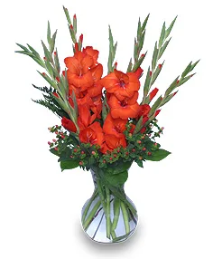 SUMMER SANGRIA Any Occasion Flowers SUMMER SANGRIA Any Occasion Flowers
