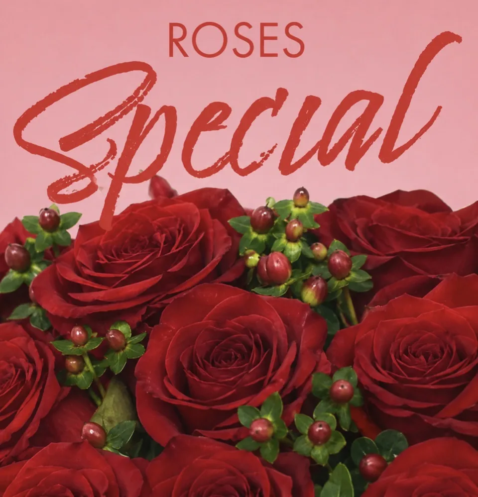 Red Rose Special Red Rose Special