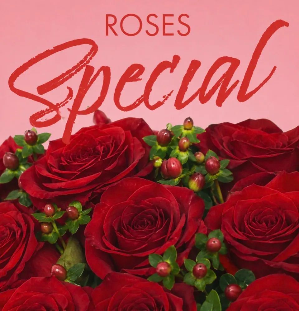 Red Rose Special
