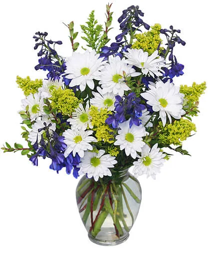 Lazy Daisy & Delphinium Just Because Flowers Lazy Daisy & Delphinium Just Because Flowers