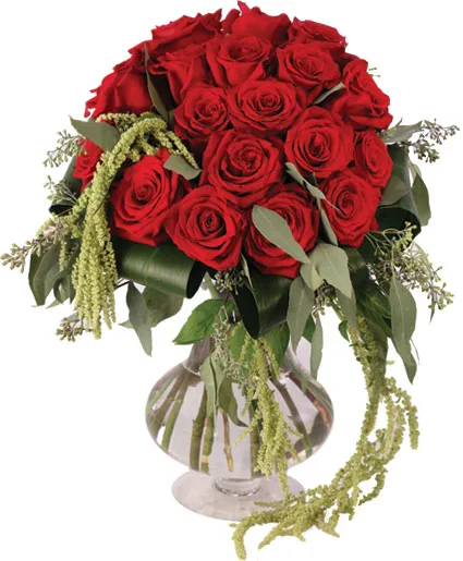 Love & Amaranthus Rose Design Love & Amaranthus Rose Design