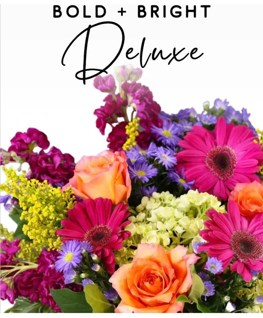 Bold & Bright Designers Choice Arrangement