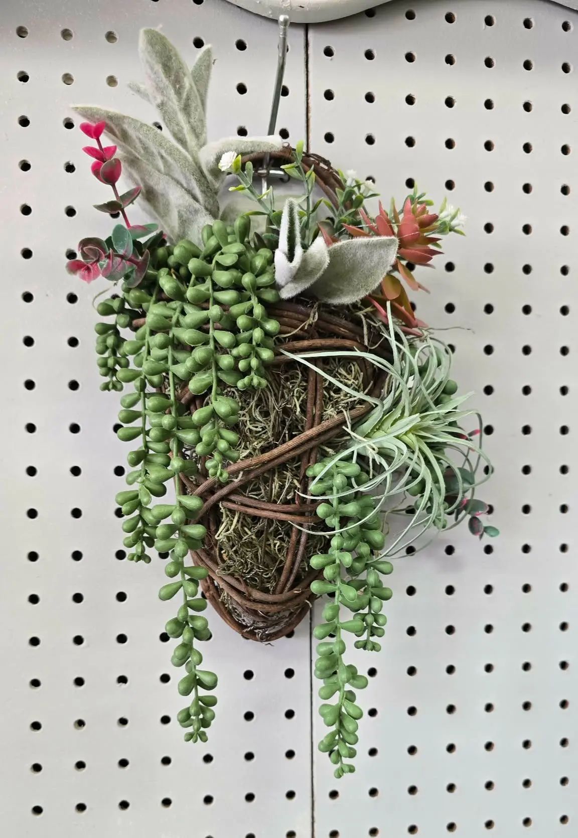 Succulent V Basket