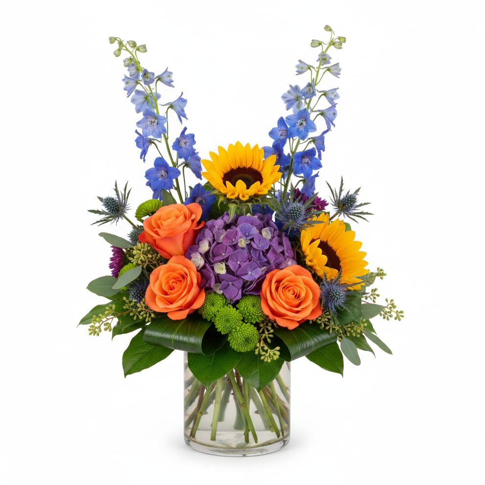 Blue Sky & Sunshine Blue Sky & Sunshine