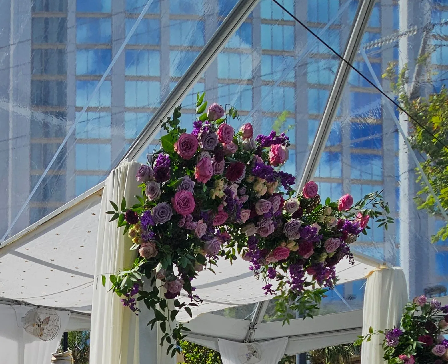Featured flowers Featured flowers