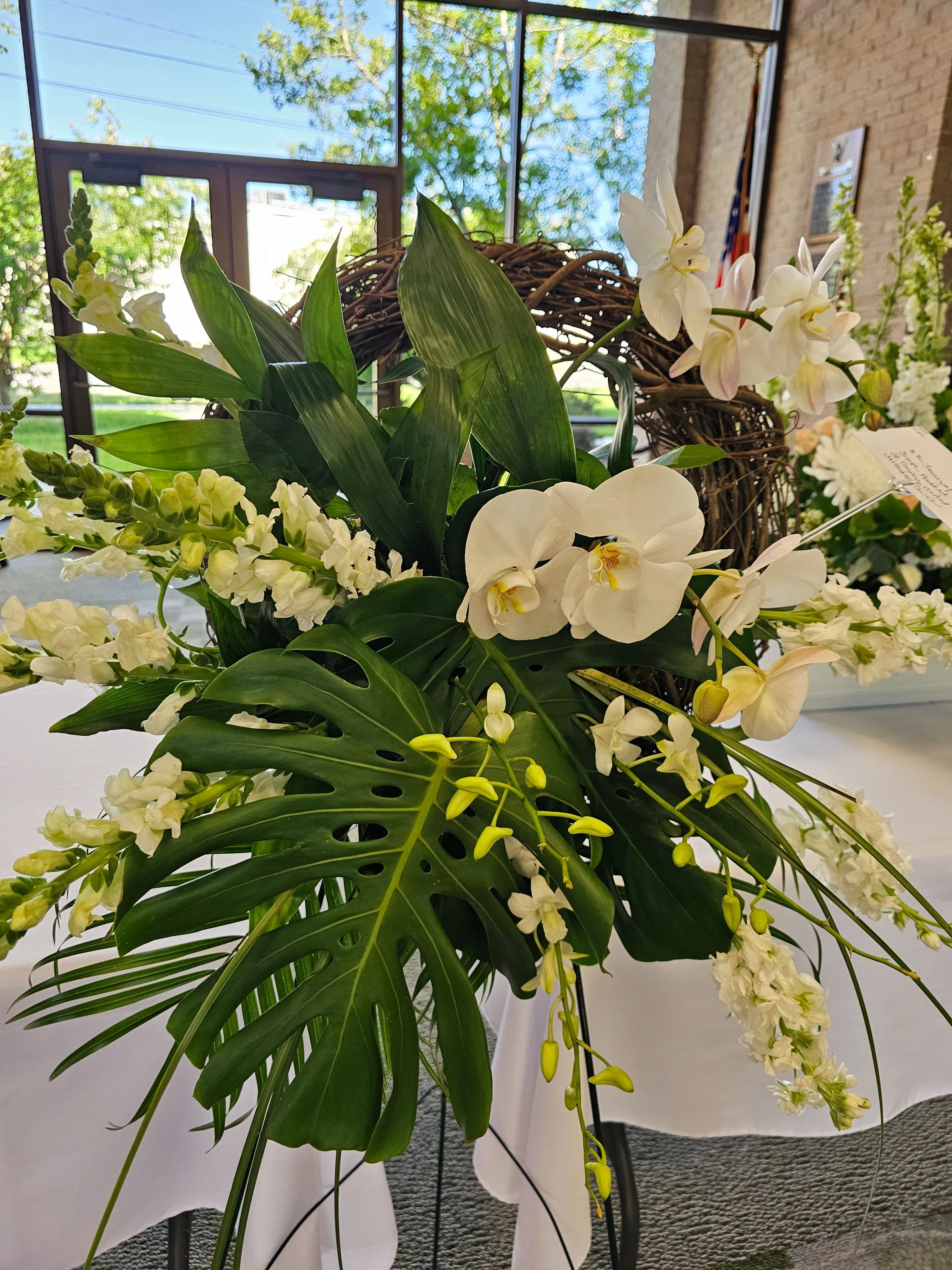 Orchid Oppulence Orchid Oppulence