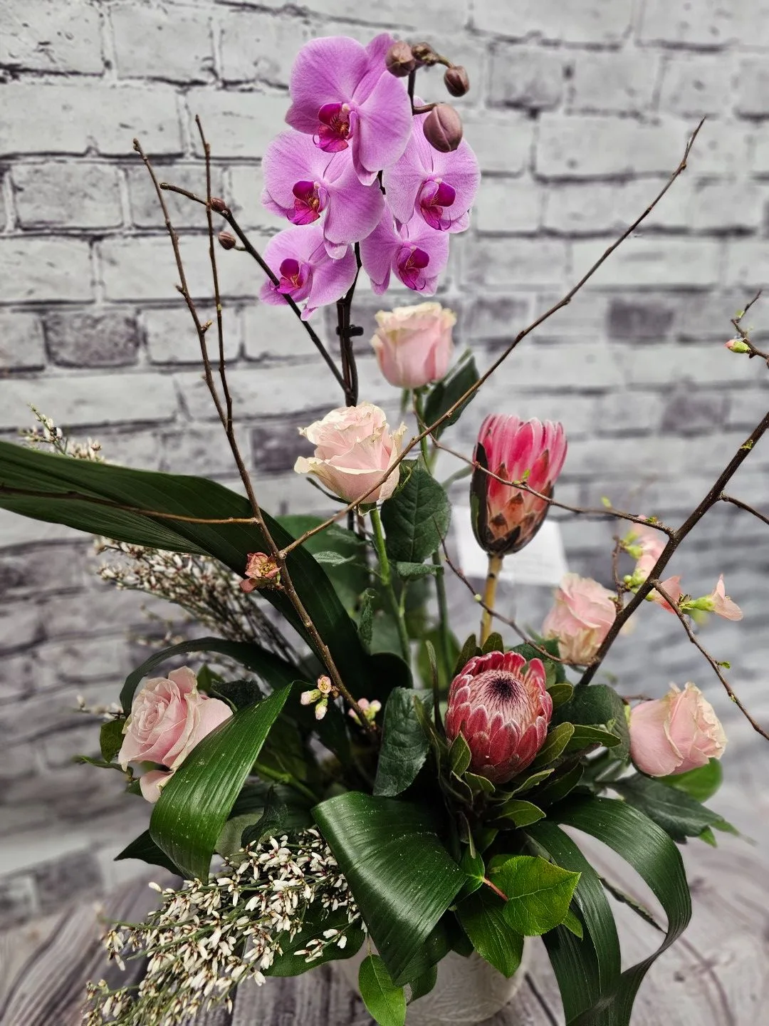 Elegant orchid Elegant orchid