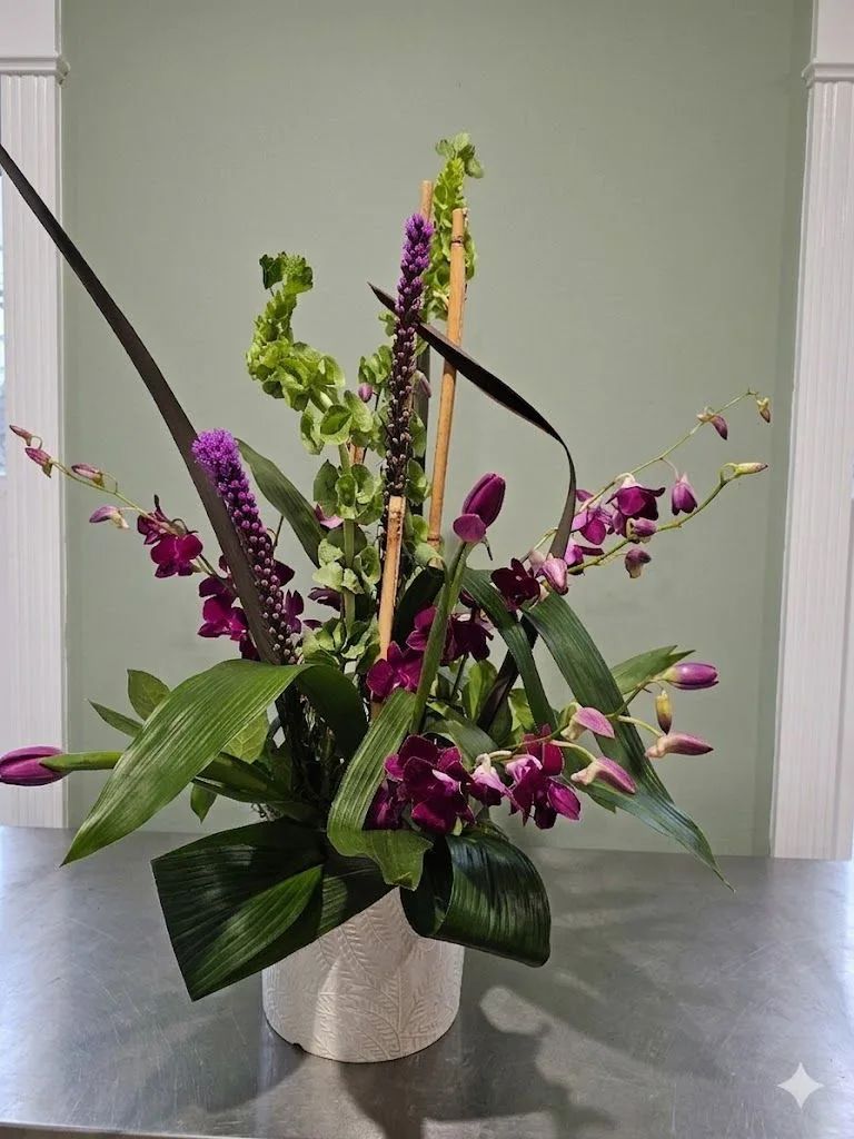 Orchid Oasis
