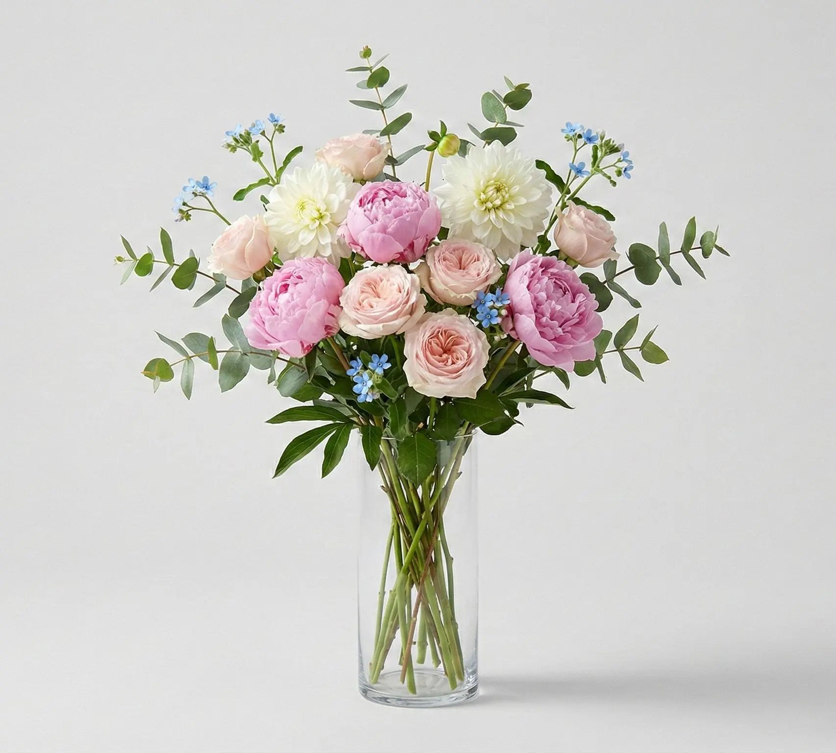 Peony Paradise