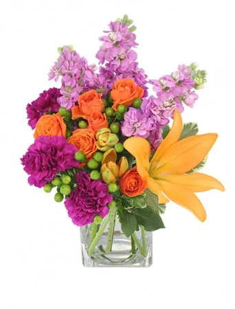 Jubilation! Bouquet Jubilation! Bouquet