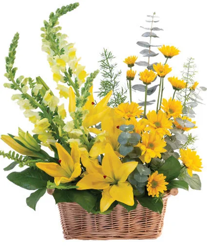 Cheerful Yellow Basket Arrangement Cheerful Yellow Basket Arrangement