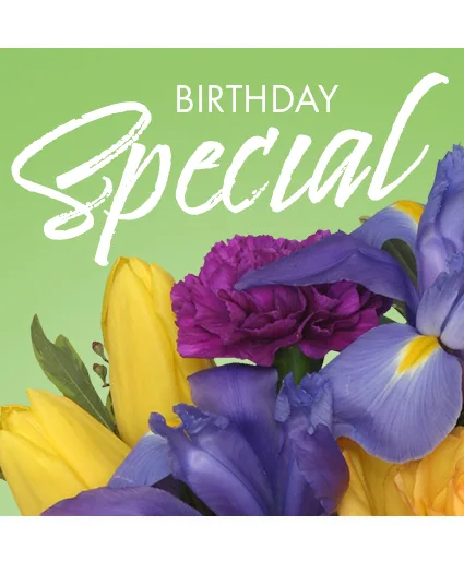 Birthday Special Designer's Choice Birthday Special Designer's Choice