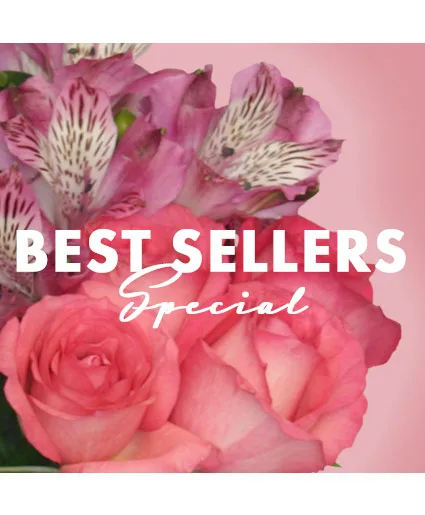 Best of the Best Special Designer's Choice Best of the Best Special Designer's Choice