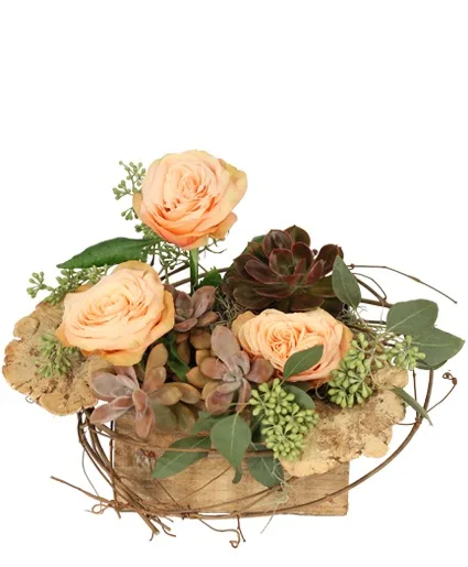 Tranquil Grove House Plant Tranquil Grove House Plant