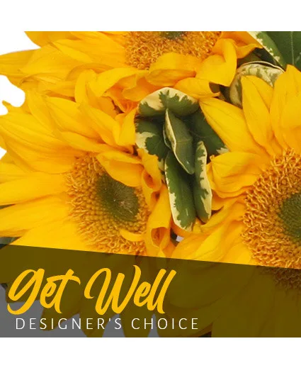 Get Well Bouquet Designer's Choice Get Well Bouquet Designer's Choice