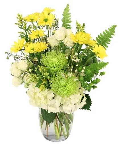 Splendid Citrus Floral Arrangement Splendid Citrus Floral Arrangement