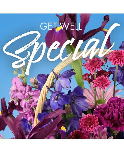 Get Well Special Florals Designer's Choice Get Well Special Florals Designer's Choice