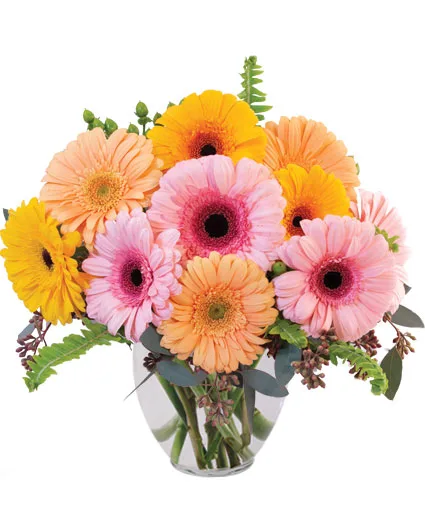 Gerbera Dreams Floral Design Gerbera Dreams Floral Design