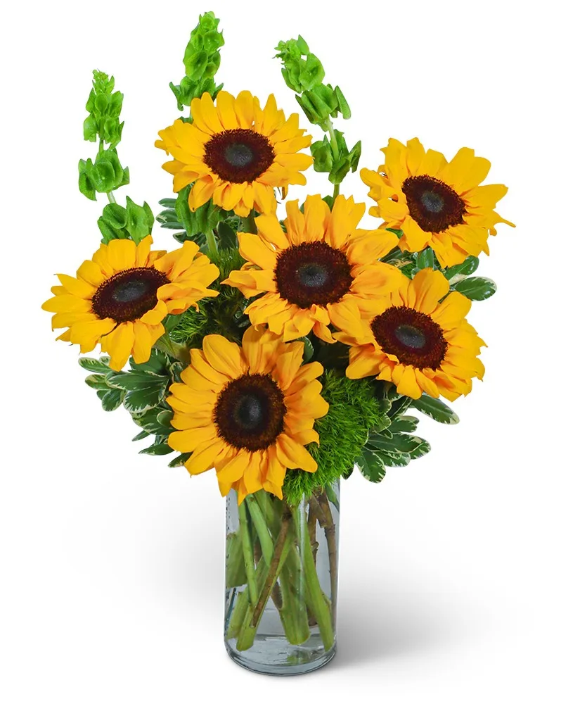 Sunflowers and Bells Flower Arrangement Sunflowers and Bells Flower Arrangement