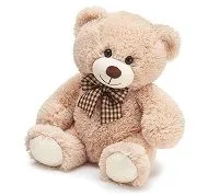 Medium Plush Bear Medium Plush Bear image