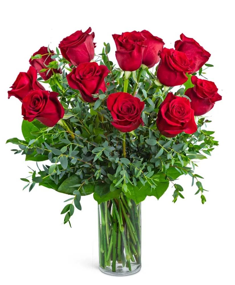 One Dozen Red Hot Roses Flower Arrangement One Dozen Red Hot Roses Flower Arrangement