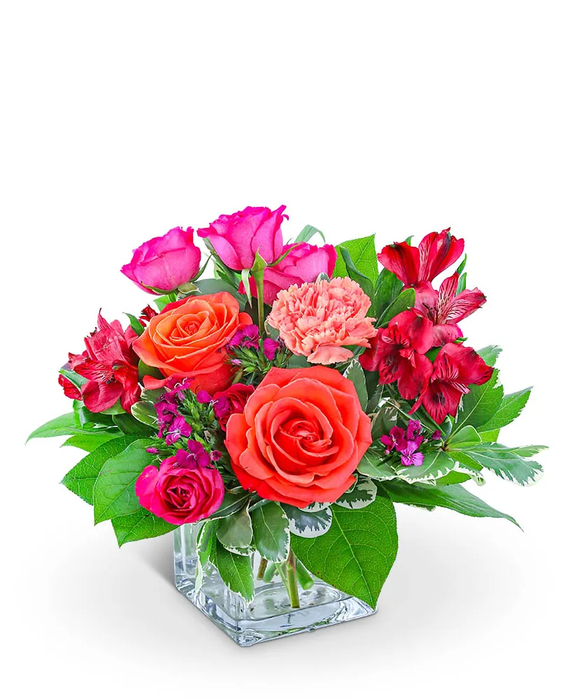 Bellini Flower Arrangement Bellini Flower Arrangement