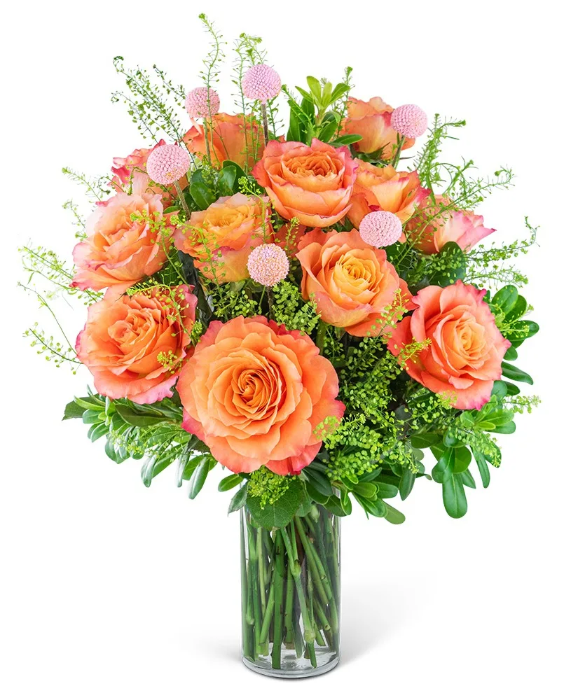 One Dozen Free Spirit Rose Symphony Flower Arrangement One Dozen Free Spirit Rose Symphony Flower Arrangement