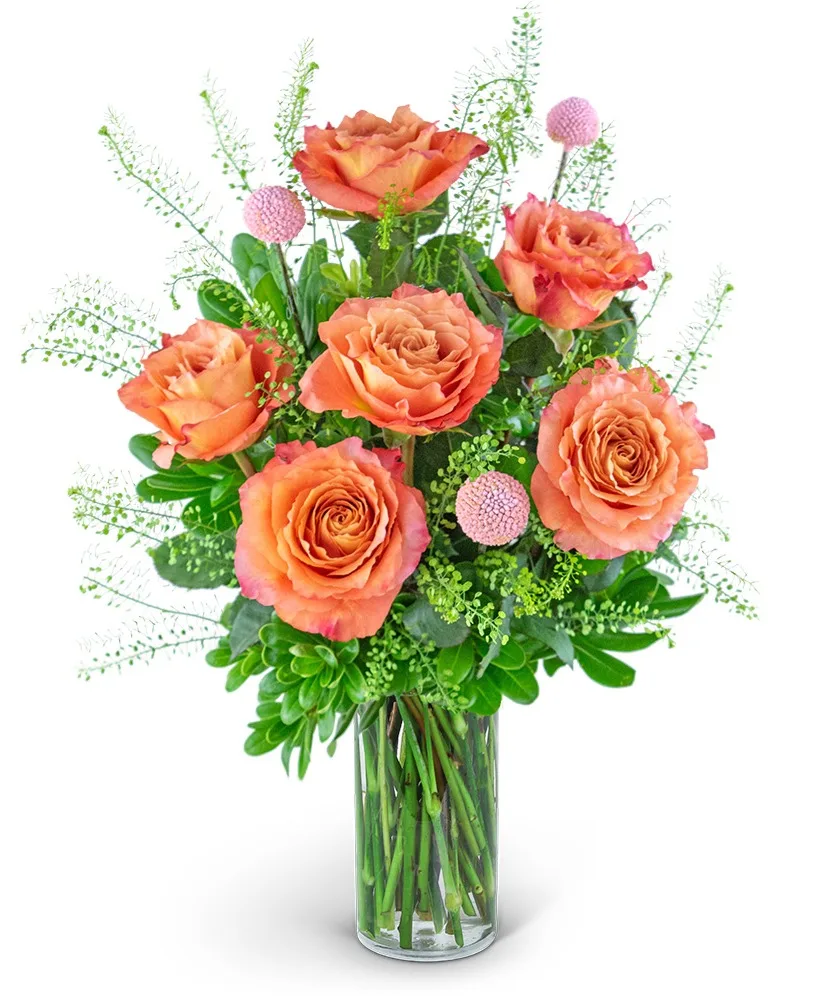 Half Dozen Free Spirit Rose Symphony Flower Arrangement Half Dozen Free Spirit Rose Symphony Flower Arrangement