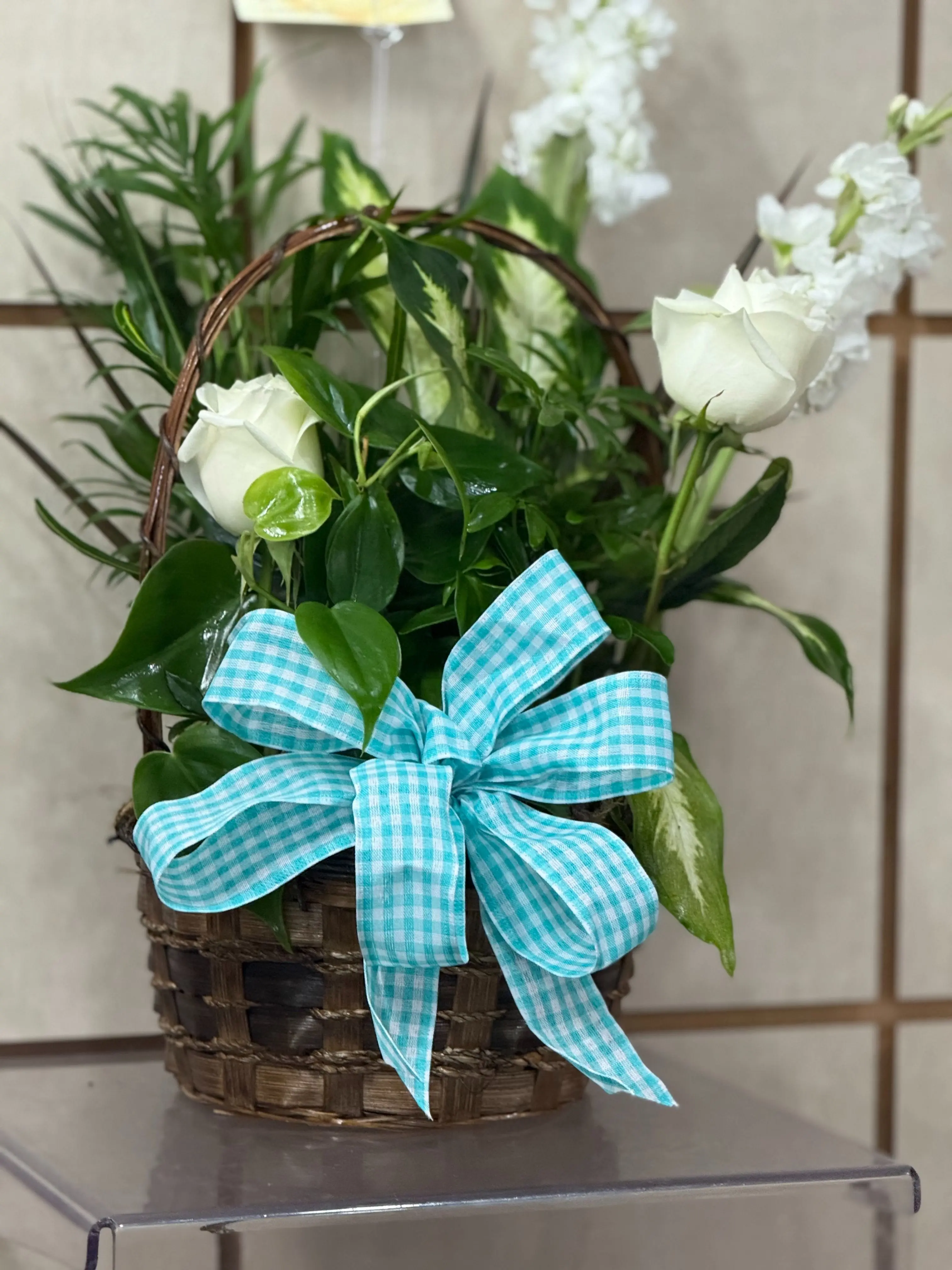 Dish Garden Collection Dish Garden Collection