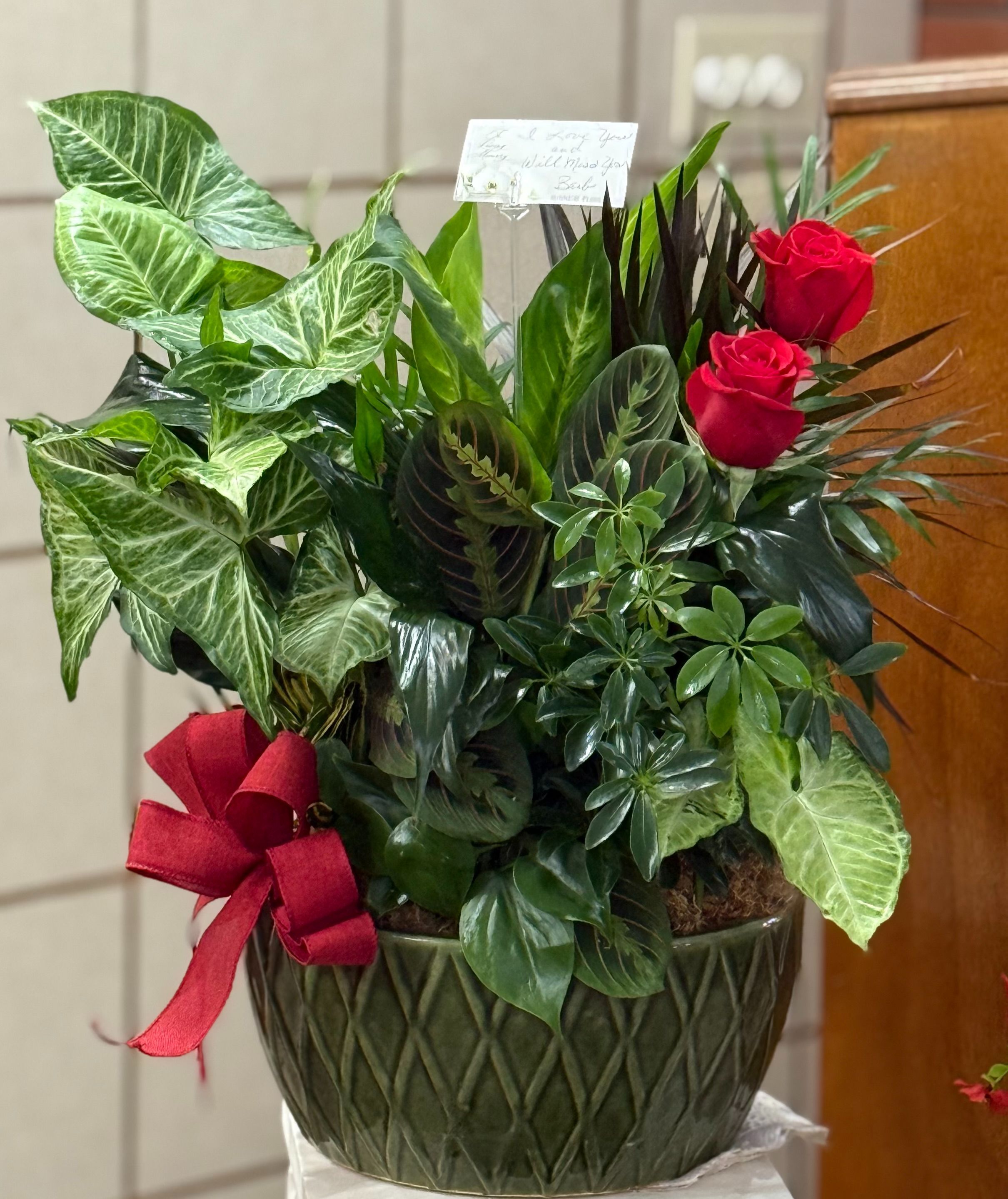 Dish Garden Collection