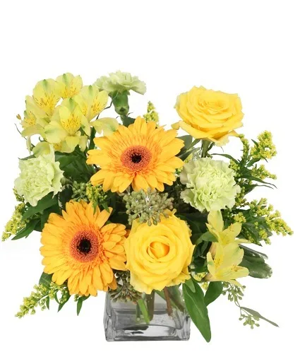 Citrus Symphony Floral Arrangement Citrus Symphony Floral Arrangement