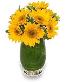Sunny Day Greetings Vase of Flowers Sunny Day Greetings Vase of Flowers