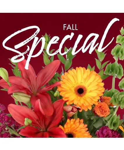 Fall Special Designer's Choice Fall Special Designer's Choice