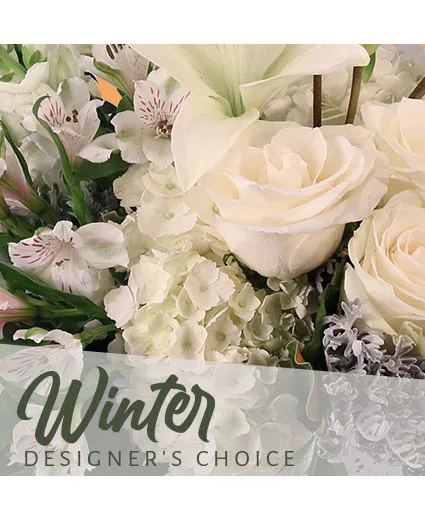 Beautiful Winter Flowers Designer's Choice Beautiful Winter Flowers Designer's Choice