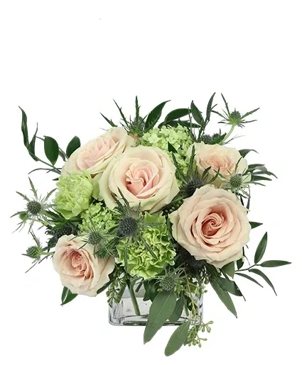 Light Pink Simplicity Rose Arrangement Light Pink Simplicity Rose Arrangement