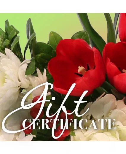 Gift Certificate Redeemable Anytime