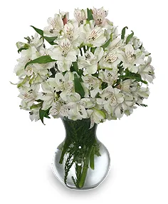 FLEECY WHITE Flower Arrangement FLEECY WHITE Flower Arrangement
