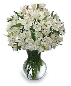 FLEECY WHITE Flower Arrangement