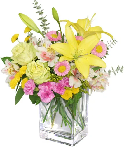 Floral Freshness Spring Flowers Floral Freshness Spring Flowers