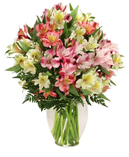 Alluring Alstroemeria Arrangement Alluring Alstroemeria Arrangement