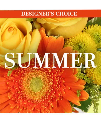 Summer Special Designer's Choice Summer Special Designer's Choice