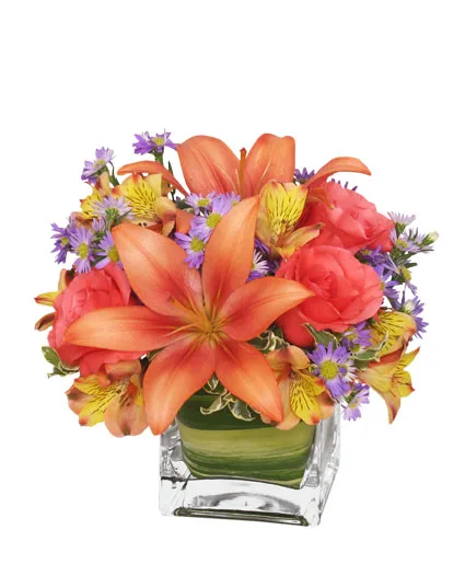Friendly Fall Bouquet Flower Arrangement Friendly Fall Bouquet Flower Arrangement