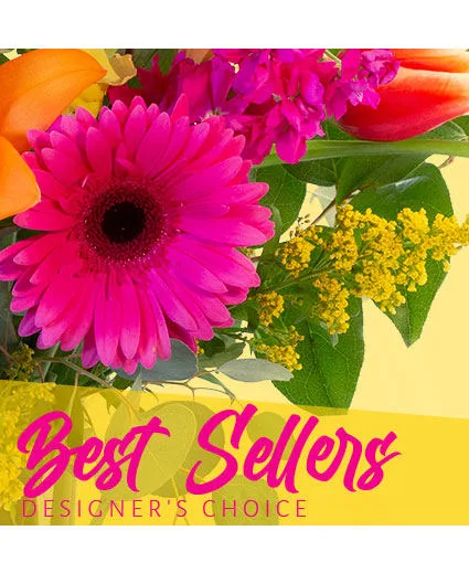 Beautiful Best Seller Designer's Choice Beautiful Best Seller Designer's Choice