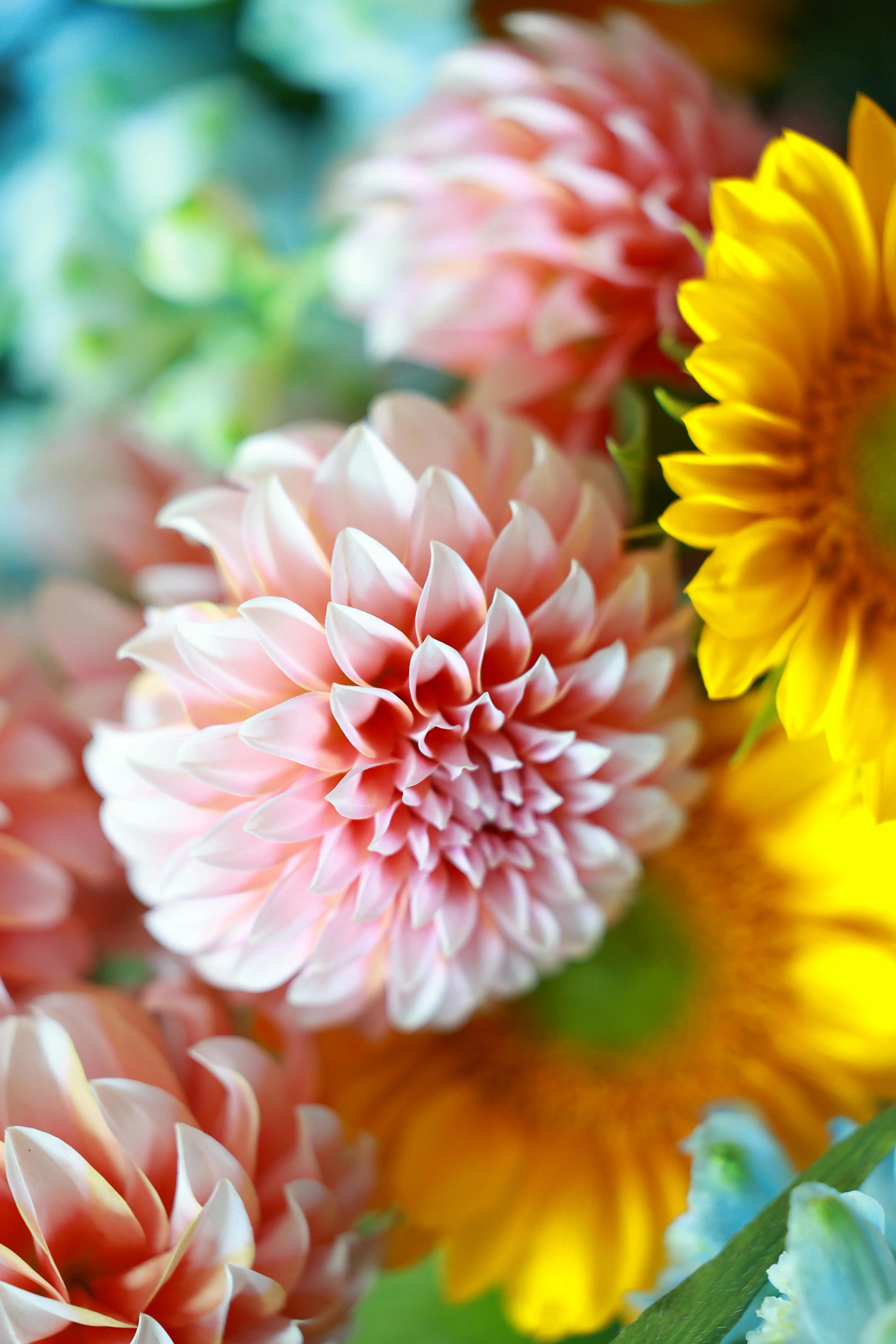 Flower shop image Flower shop image