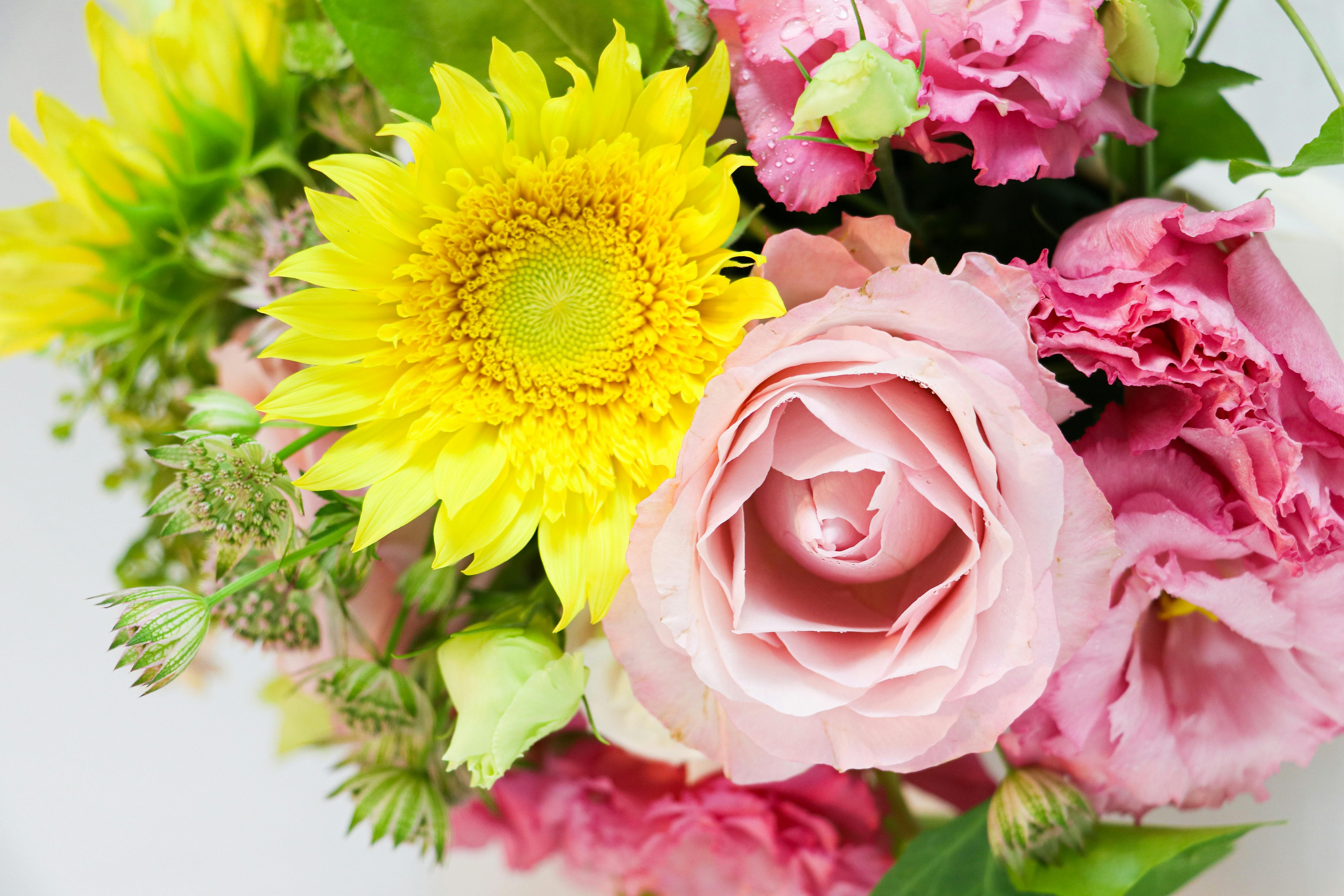 Featured flowers Featured flowers