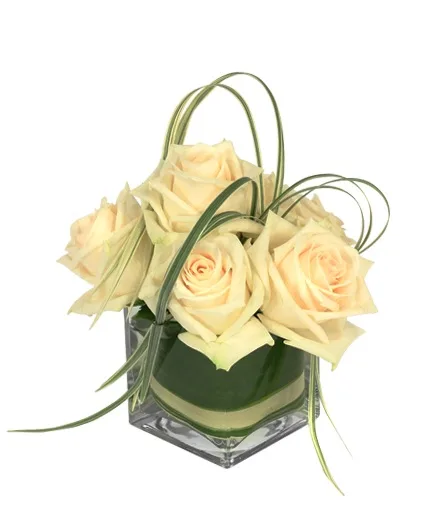 Dainty White Roses Floral Design Dainty White Roses Floral Design