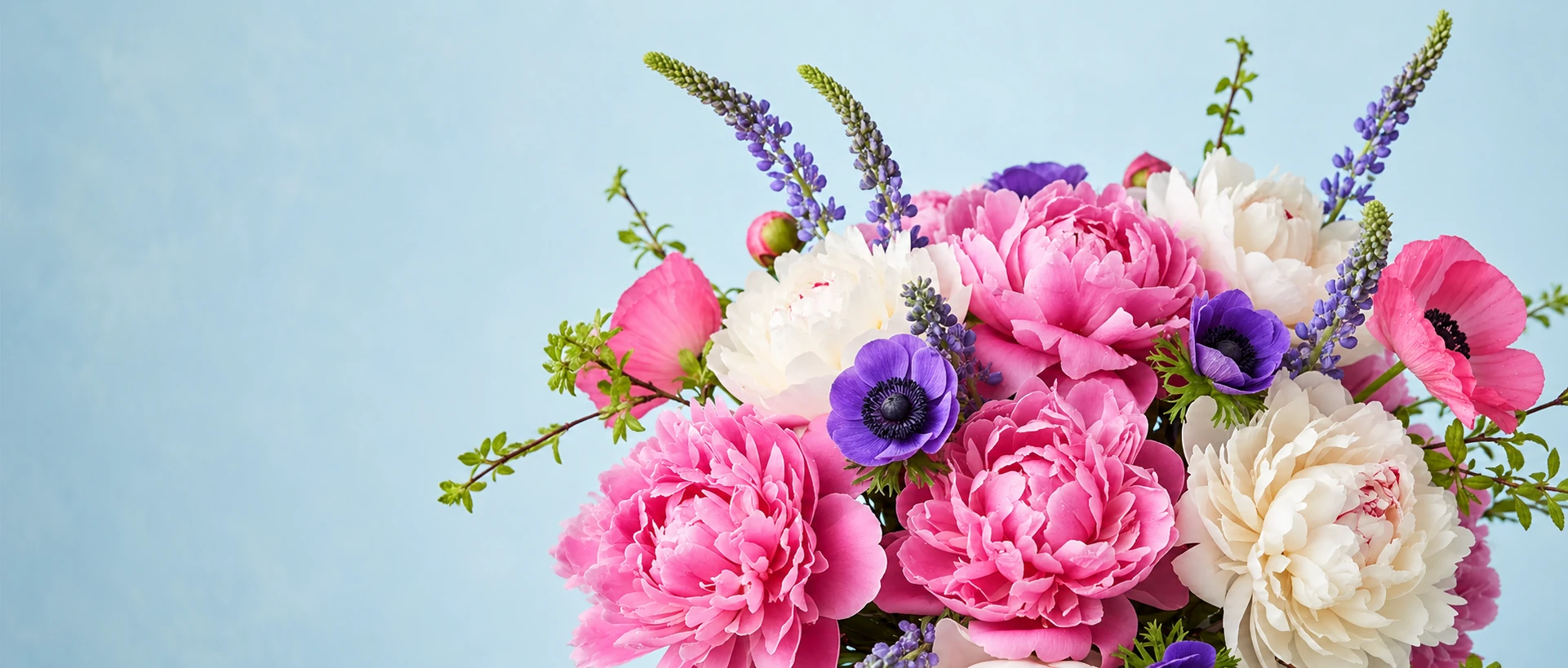 Featured flowers Featured flowers