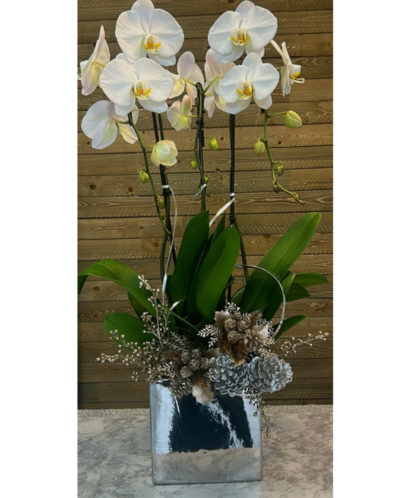 Winter Orchid Elegance Christmas Winter Orchid Elegance Christmas