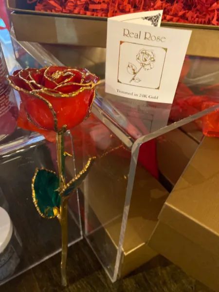 Real Rose Trimmed in 24K Gold