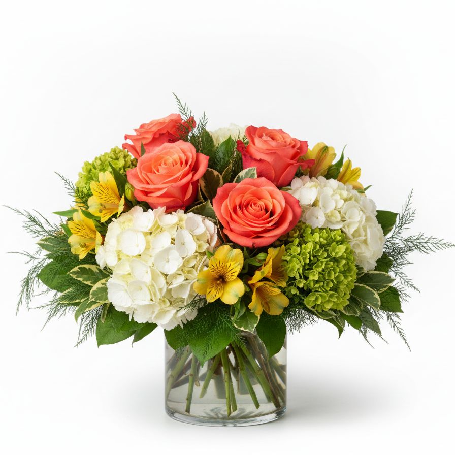 Coral Crush Garden Coral Crush Garden